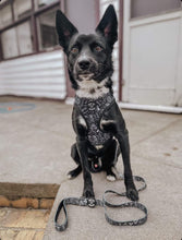 Load image into Gallery viewer, &#39;PATTERN V1.0&#39; Dog Harness
