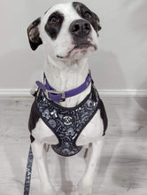 Load image into Gallery viewer, &#39;PATTERN V1.0&#39; Dog Harness
